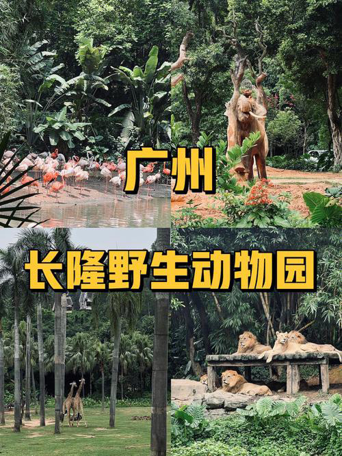 廣州長隆野生動(dòng)物園旅游